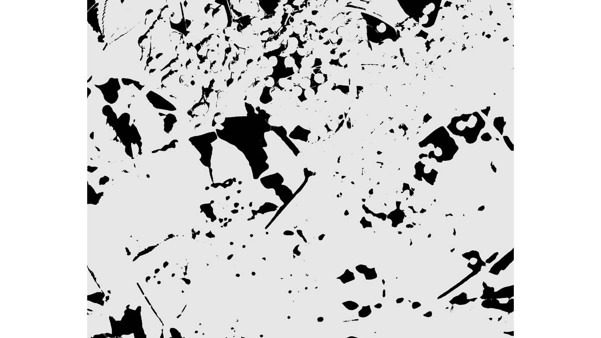 Fotogenerierte Transformationen,
aus der Werkgruppe: Bergeller roter Holunder,
Fotografie/Pigmentdruck/Holz,
40x30x3 cm